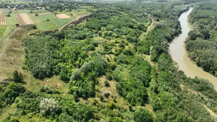 n443201v89_SCANDAL NEMȚENI v2.mxf.00_06_57_21.Still006