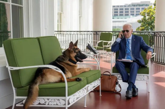 biden-commander-tw2