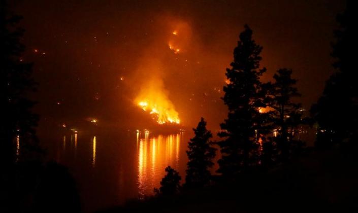 image-2023-08-9-26452216-41-incendiu-vegetatie-statele-unite