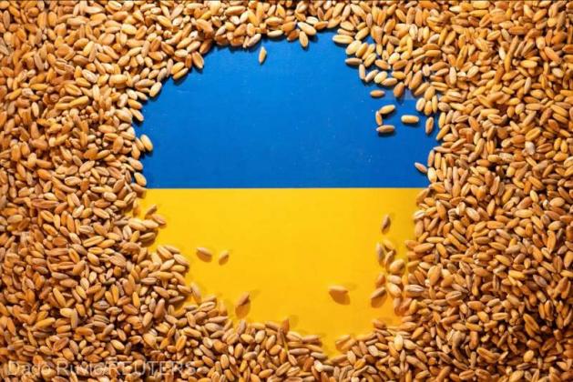 2023-07-27T150107Z_1535779233_RC2QB2ABB3KU_RTRMADP_3_UKRAINE-CRISIS-EU-GRAINS