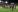 Sheriff Tiraspol s-a calificat în play-offul Ligii Europa: Echipa o va întâlni pe campioana Insulelor Feroe