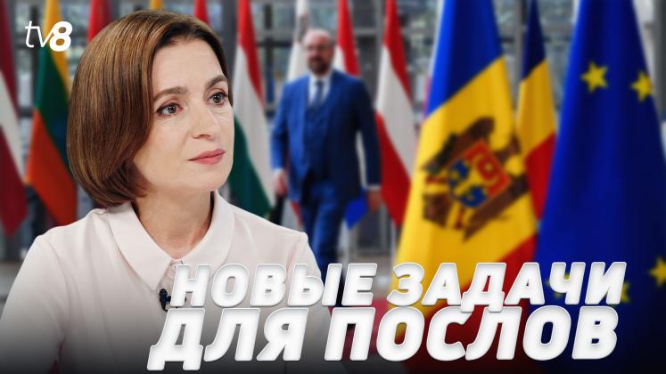 MAIA AMBASADORI ru