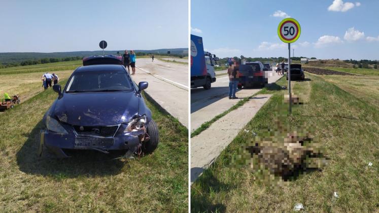Design fără titlu