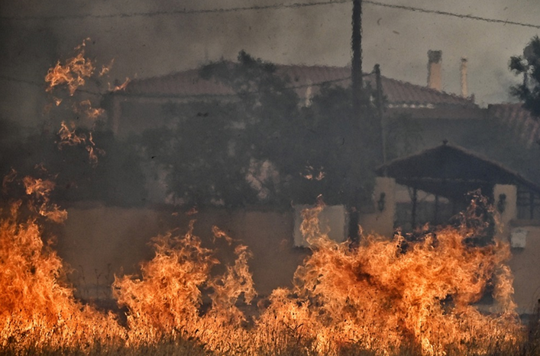 boetia-incendiu-tw