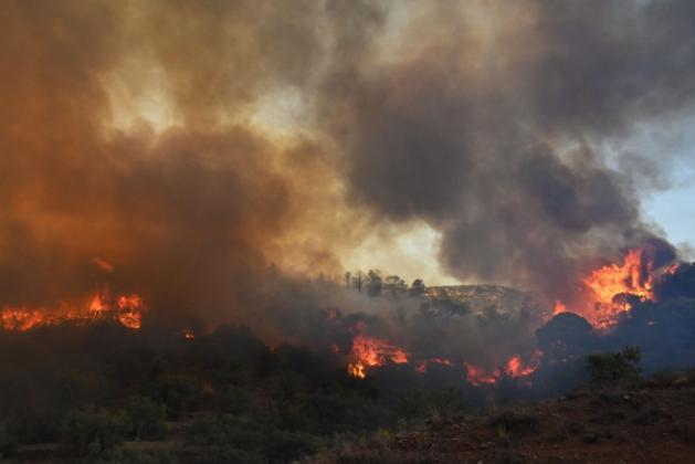 grecia incendii2