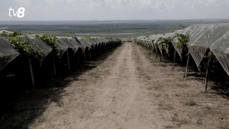 Digitalizare Agricultura