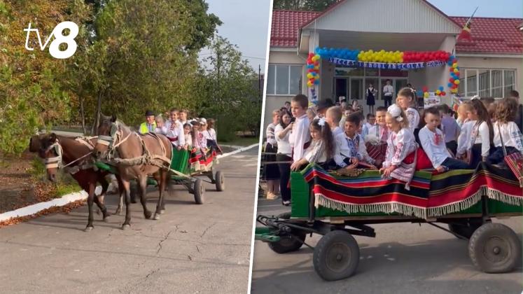 Copii căruță