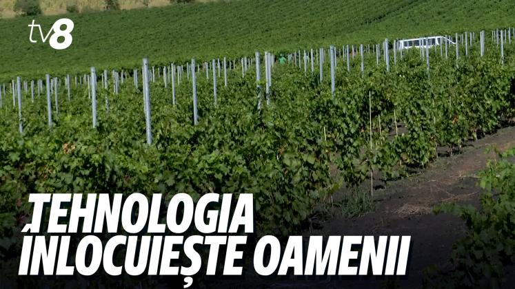MECANISME