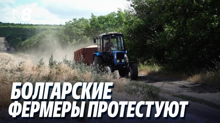 fermieri bulgari a ru
