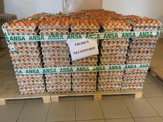 Ouă