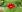 /METEO/ Temperaturi fierbinți și nori pe cer. Cum va fi vremea de astăzi, 16 august 2024