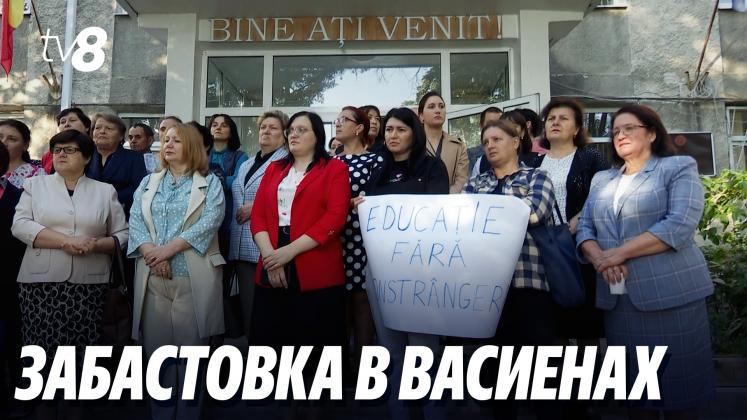 greva vasieni ru