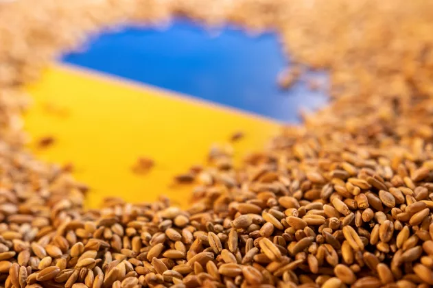 cereale ucraina grâu