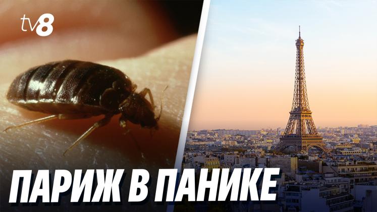 PARIS PLOȘNIȚE ru