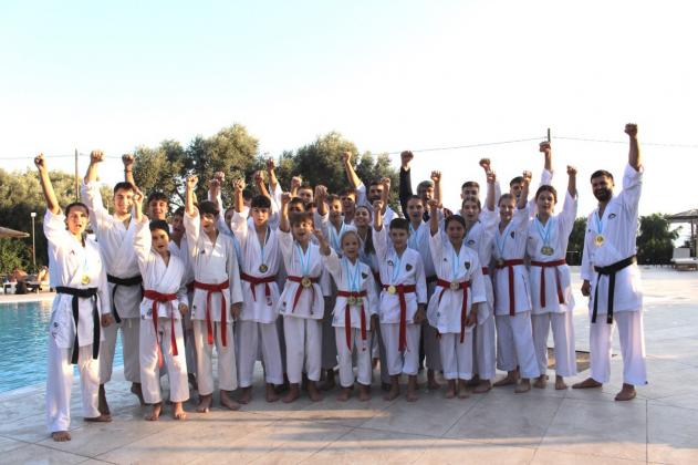 karate