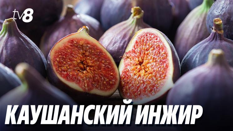 SMOCHINE CĂUȘENI ru