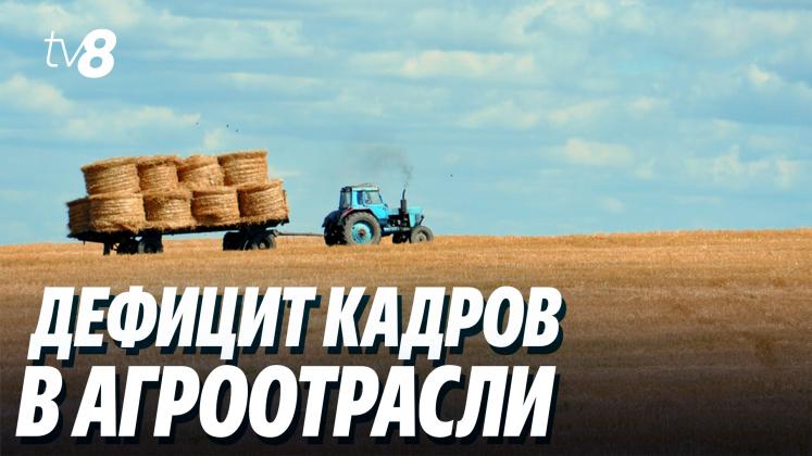 TÂNĂR SPECIALIST ru