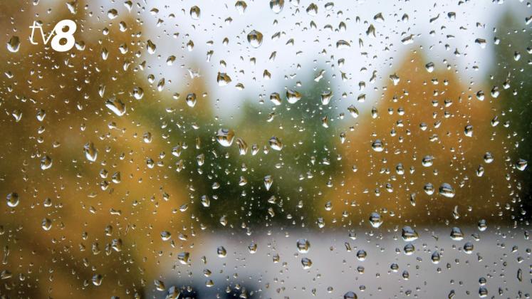 meteo ploaie