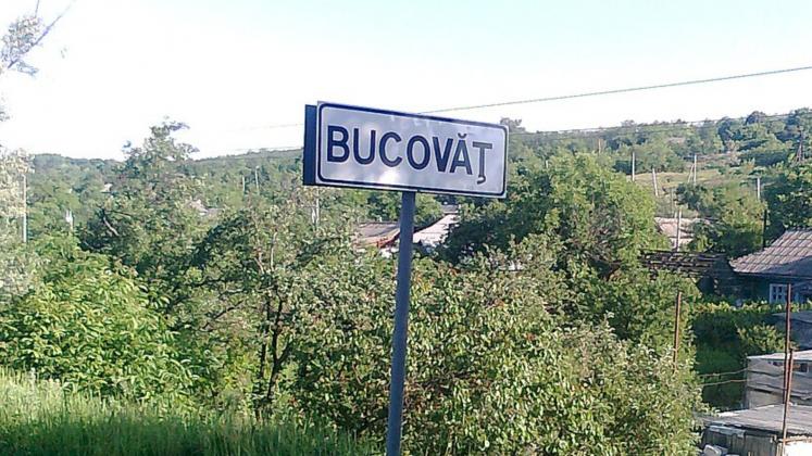 BUCOVAT