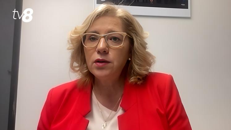 Europarlamentar corina cretu