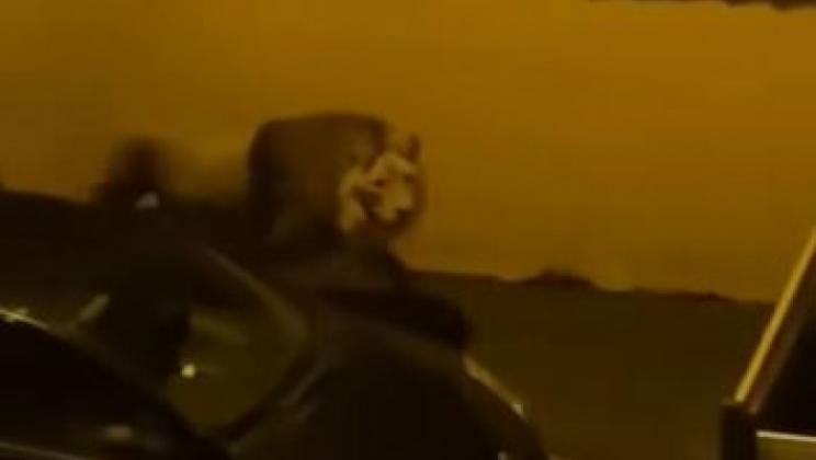 aGFzaD1mZDJhOWFiYjc5NzI4MTBlODFmODE4ZmJkN2Q0MTRkNw==.thumb