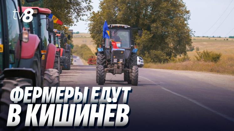 PROTESTE FERMIERI ru