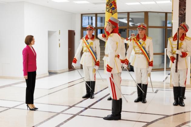 ambasadori
