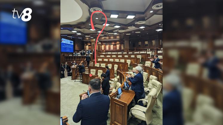 Parlament