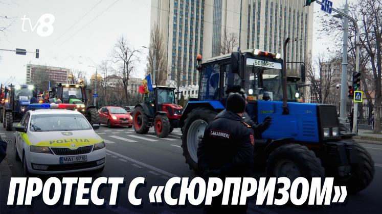 PROTEST