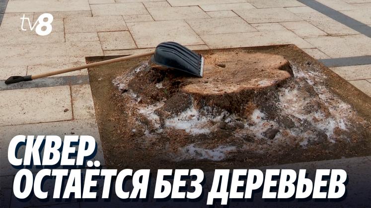 scuar centru ru