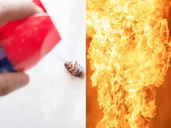 gandac incendiu