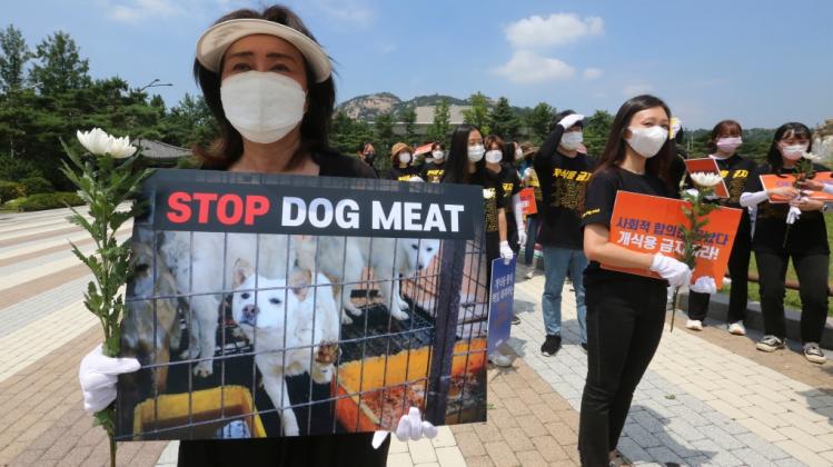 animal-rights-activists-1-5681007-1637854839794