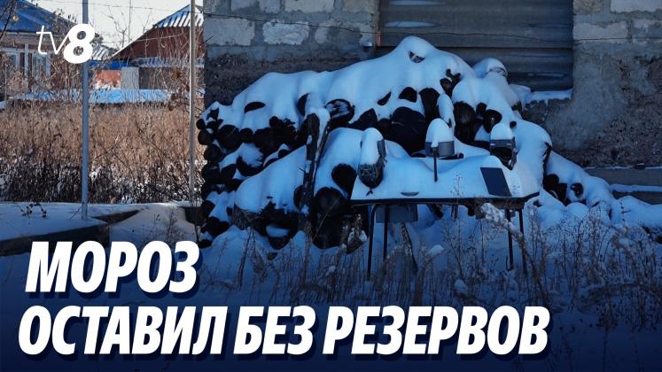 ger oameni ru