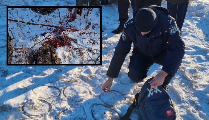 Снимок экрана 2024-01-15 164813