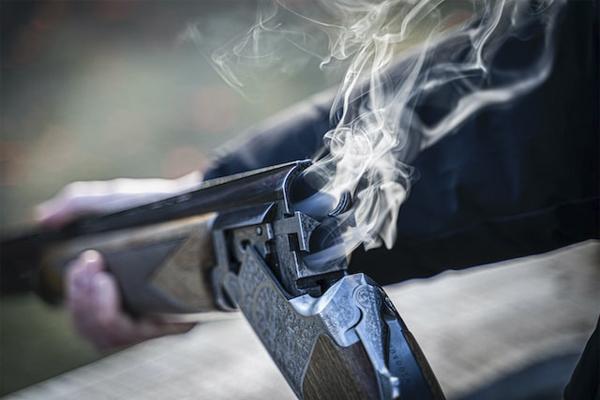 gun