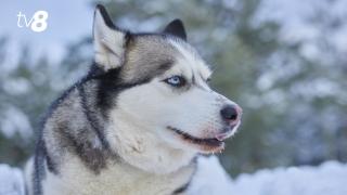 Приближается холод. Прогноз погоды на сегодня, 14 января