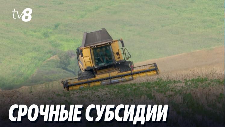probleme fermieri ru