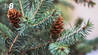 /METEO/ Vremea azi, 5 decembrie 2025: Zi fără precipitații. Care vor fi temperaturile maxime