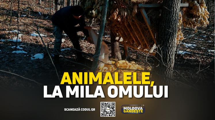 MG 03 02 2024 - COVER reportaj MANCARE ANIMALE