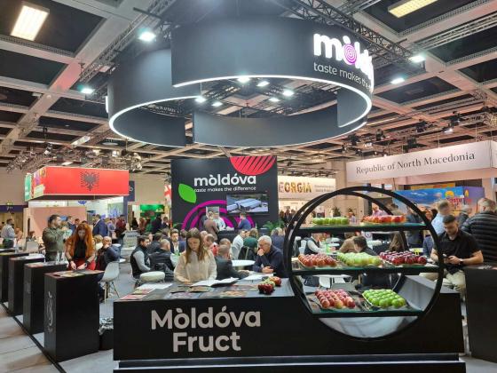 moldova fructe berlin
