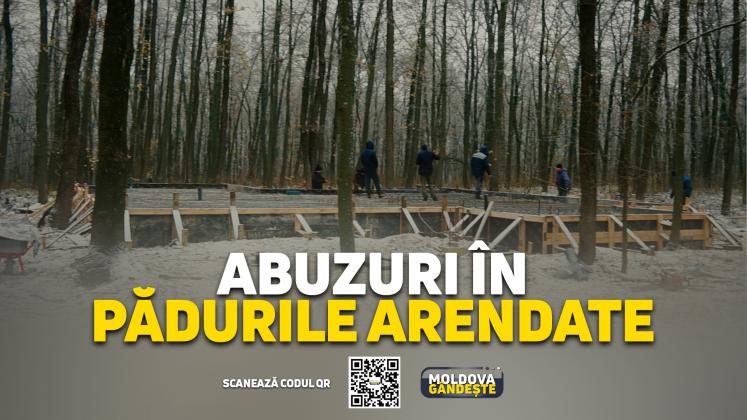 MOLDOVA GANDESTE - 17 02 2024 - COVER reportaj ARENDA PADURI