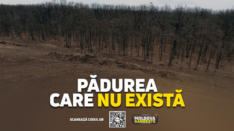 MOLDOVA GANDESTE - 17 02 2024 - COVER reportaj COPACI VATICI
