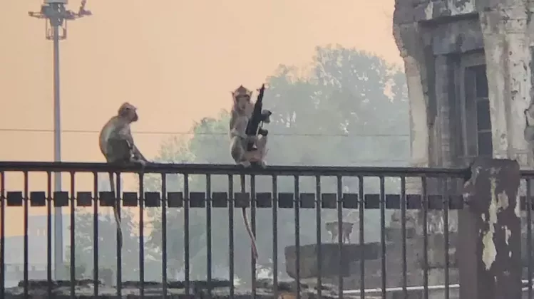 macac-arma-e1708271952278
