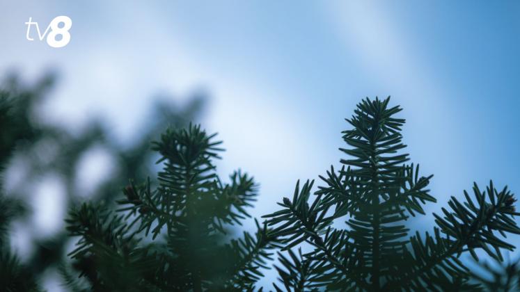 design (2)