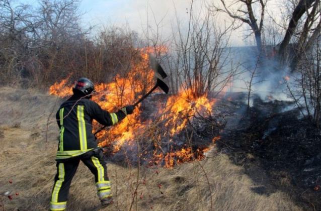 incendiu vegetatie