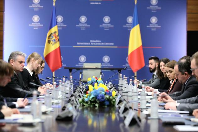 intrevederea_ministrului_afacerilor_externe_luminita_odobescu_cu_viceprim-ministrul_pentru_reintegrare_al_republicii_moldova_oleg_serebrian_3