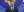/VIDEO/ SIS atenționează despre implicarea Rusiei în procesul electoral din țară: „Scopul este să compromită aderarea R. Moldova la UE”