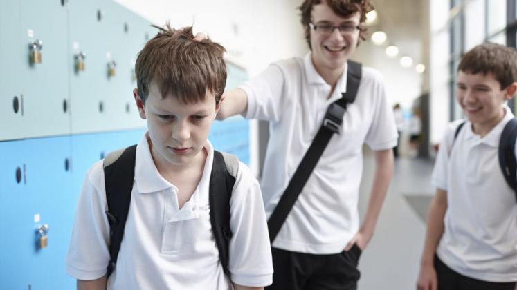 school bullying