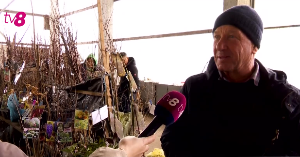 VÂNZARE PUIEȚI