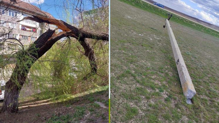 Ziua Internațională a Pădurilor (4)